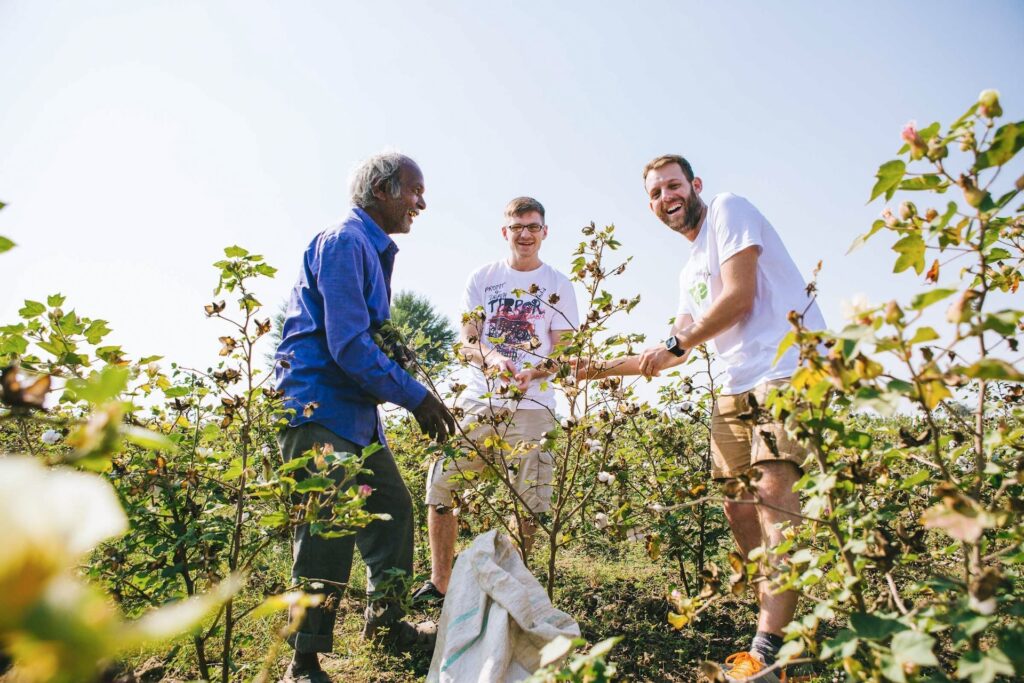 men working in cotton field in India